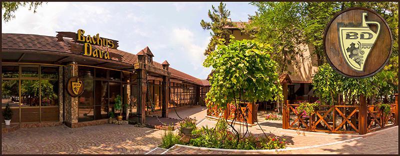 Hotel Bachus Кишинёв Экстерьер фото